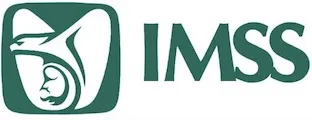 Asesoría en el IMSS